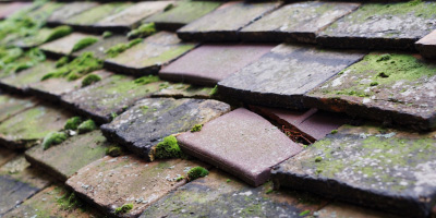 Flax Bourton roof repair costs